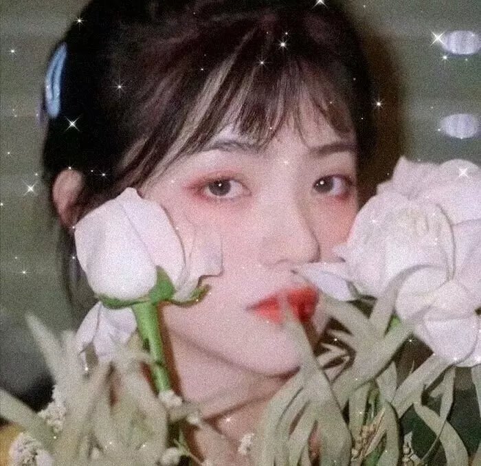 高能少年团第一季